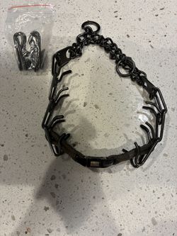 Dog Prong Collar Xl