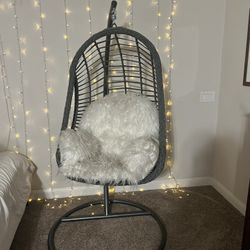 Hanging Egg Chair