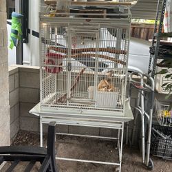 Huge Bird Cage