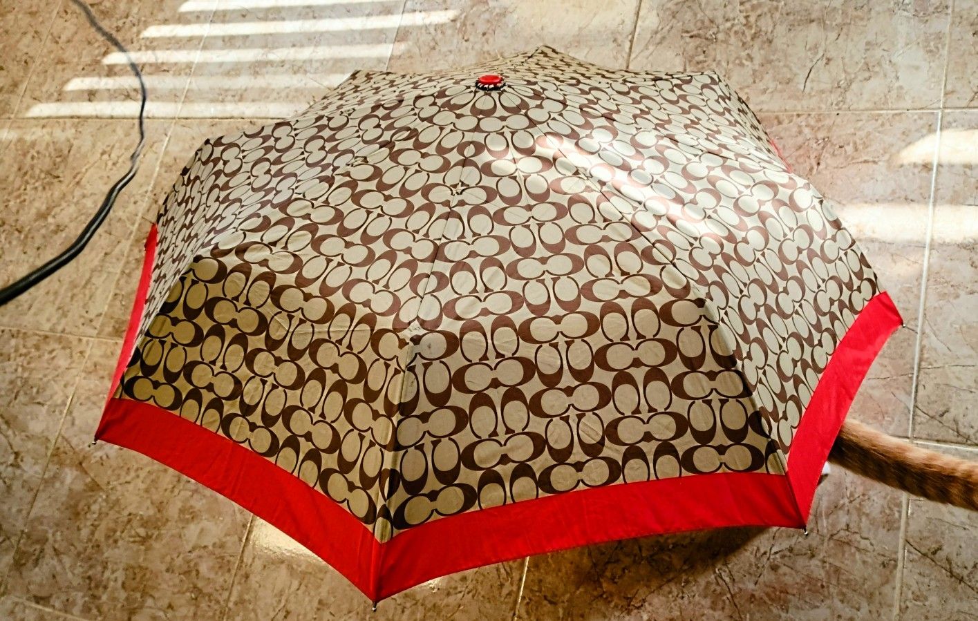 Authentic COACH Umbrella 