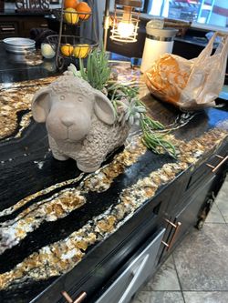 Decorative Succulent In Pot