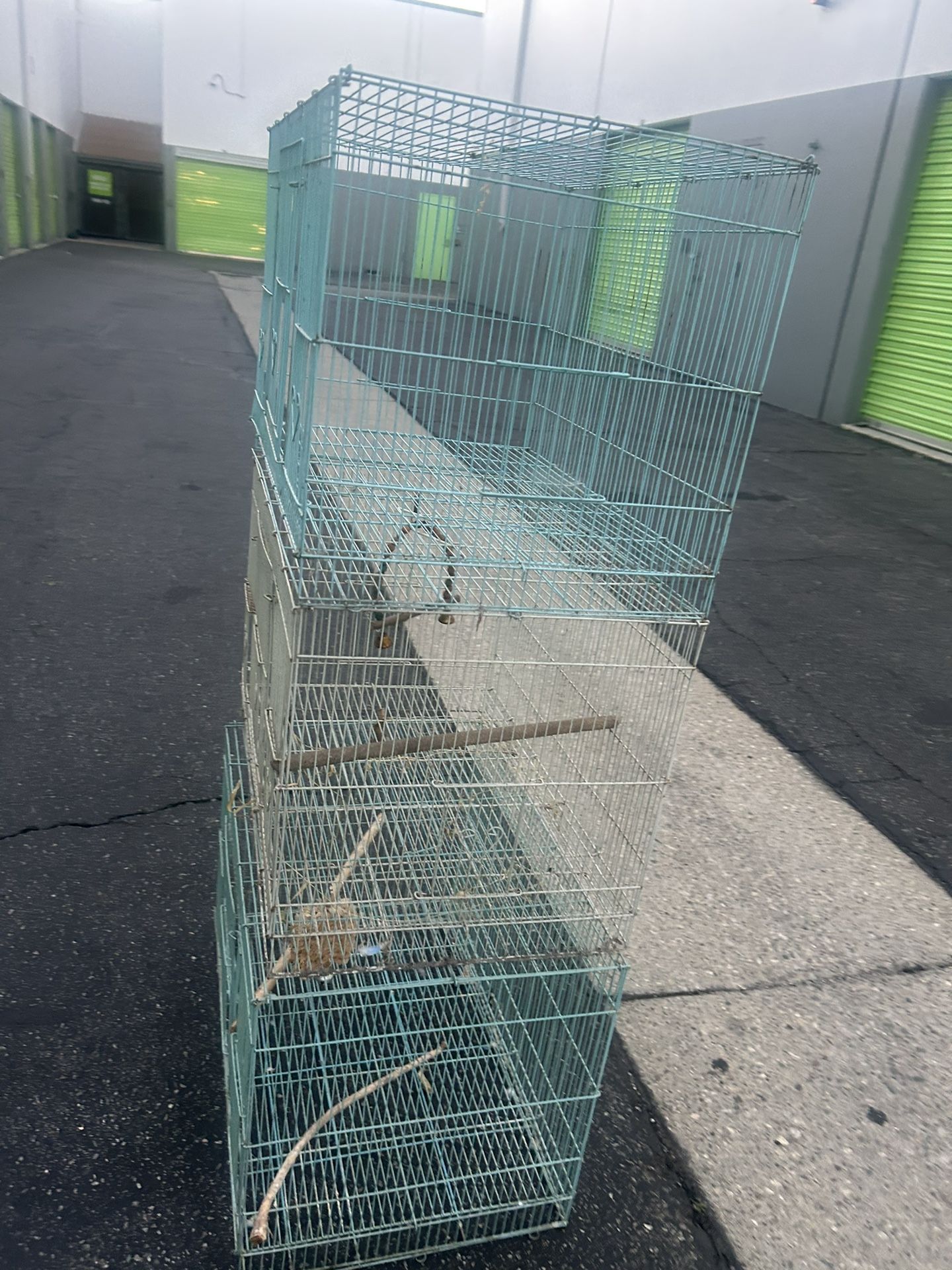 Bird Cages