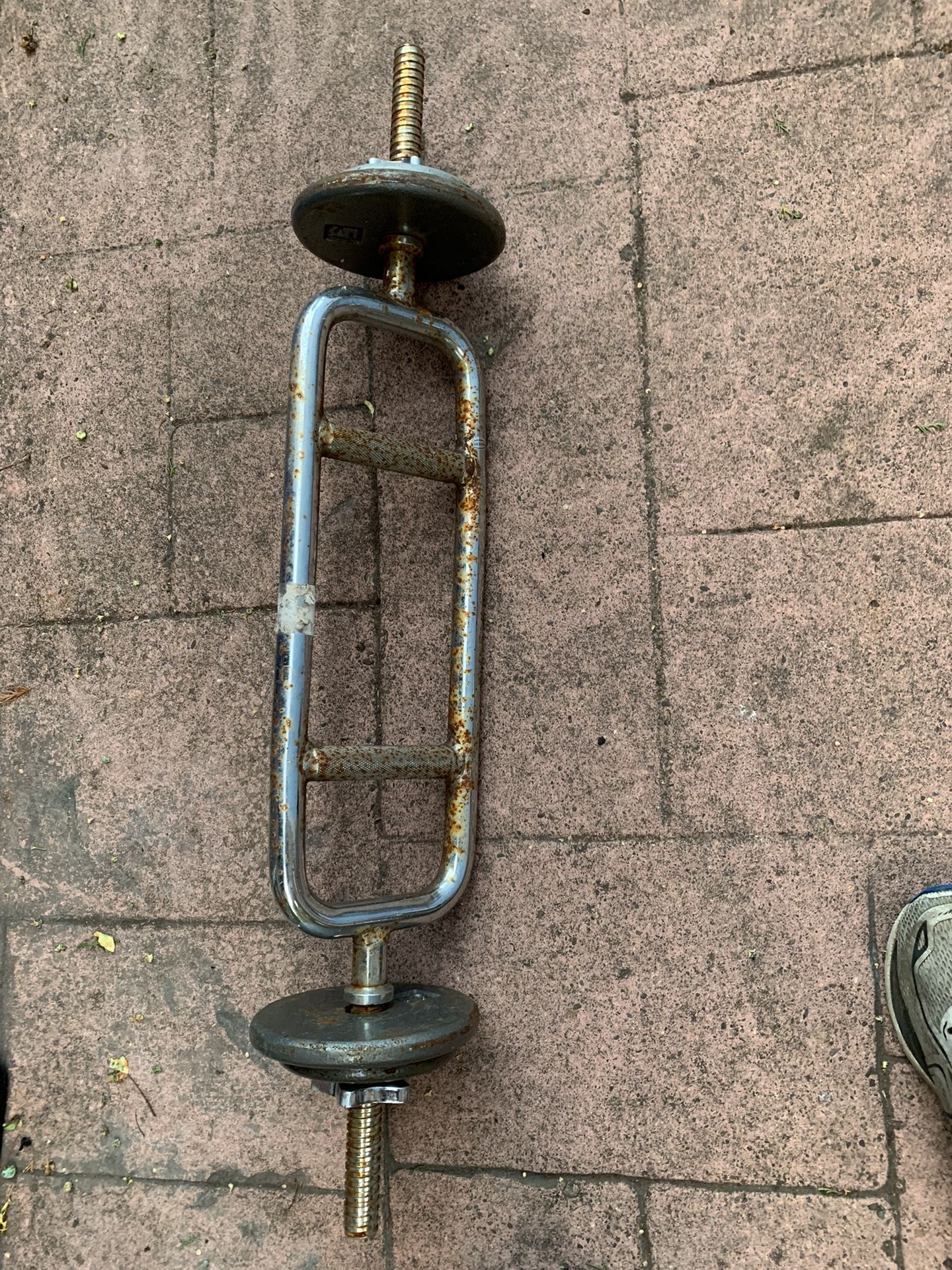 Triceps Curl Bar with 30 Lbs Weights