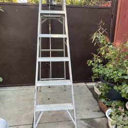 6 ft. Aluminum ladder