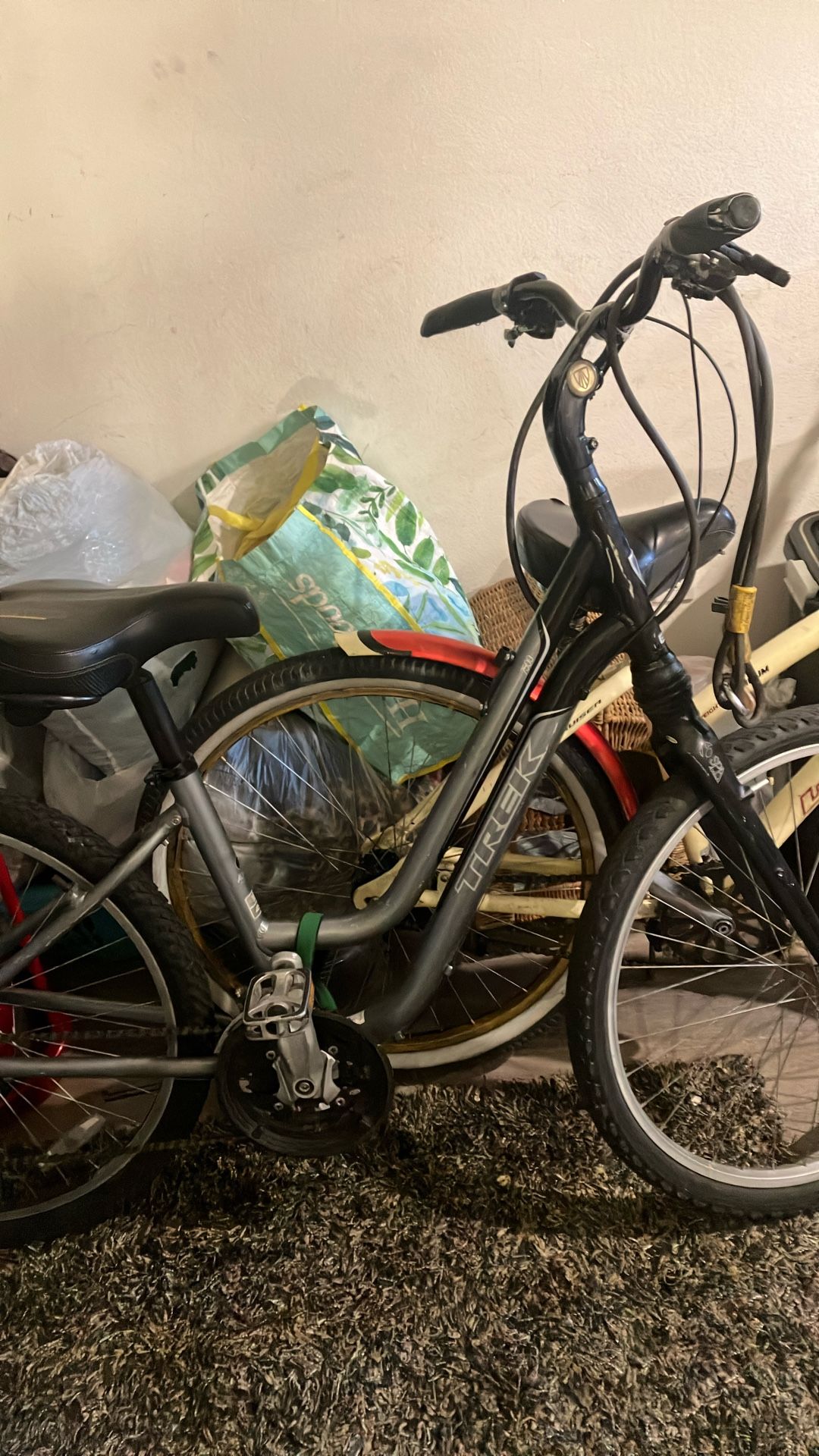 Trek Bike 