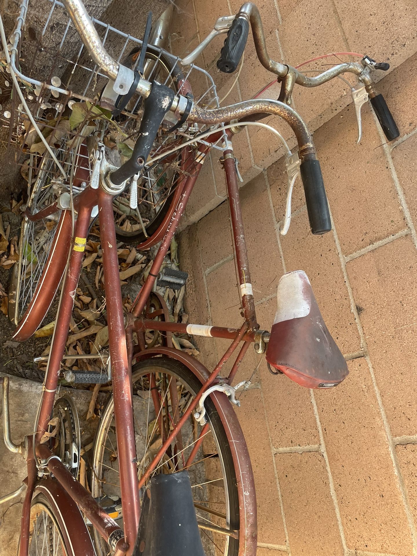 Schwinn Bikes Vintage