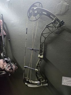 Bear Compound bow