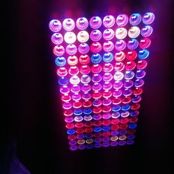 Plant Grow Light 