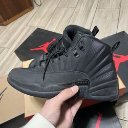 Jordan 12 Winterized 