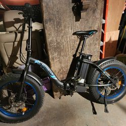 Ecotric Dolphin electric bike
