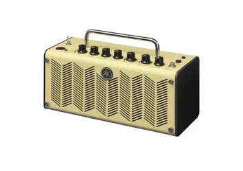 Yamaha THR5 modeling guitar amp.