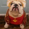 Caesar