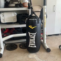 Punching Bag 