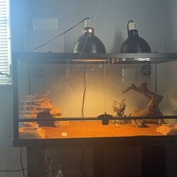 Big cage with decorations and bearded dragon