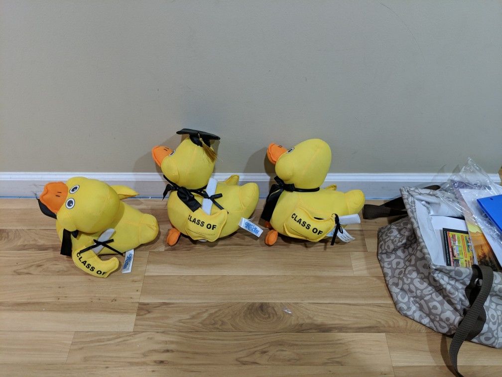 Graduation Ducks