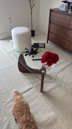 COFFE or SIDE table !! Brand NEW