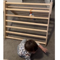 Lily And River Climbing Ladder 