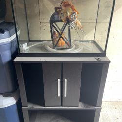 20 Gal Fish tank And Stand 