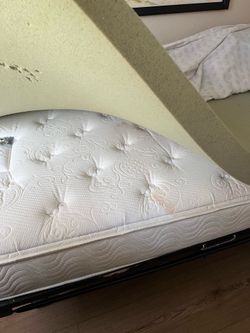 Free Twin size bed frame and mattress