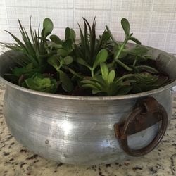 Stunning Custom-Succulent Gardens-Huge 13-14” Pots- 