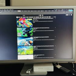 Apple Cinema HD 30 Inch Screen And USB-C Adapter