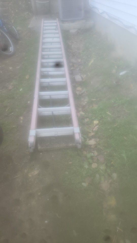 Fiberglass Ladder