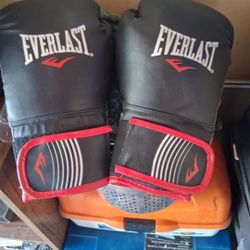 12 Oz Everlast Boxing Gloves 