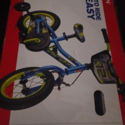 Schwinn 
