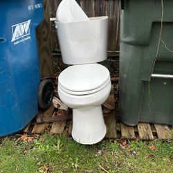 Free Toilet 
