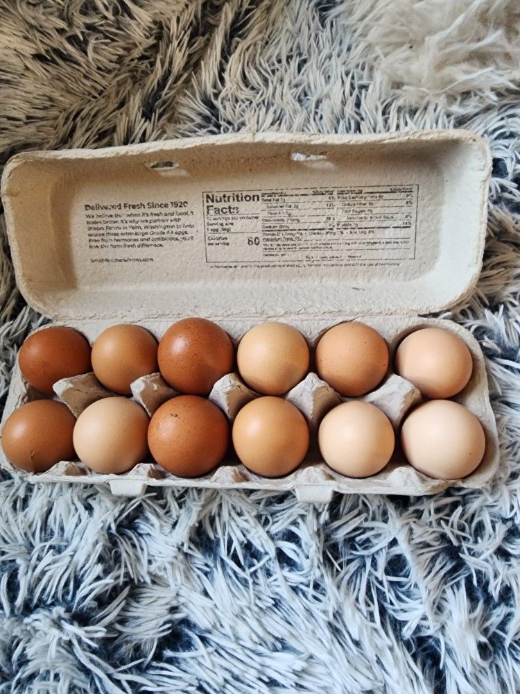 Eggs Organic