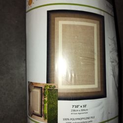 Indoor/Outdoor Area Rug