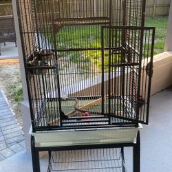 Bird Cage