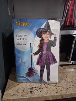 Spirit Fancy Witch Toddler Halloween Costume 2T