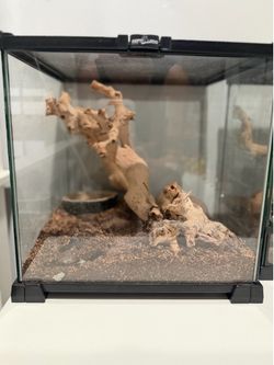 Terrarium
