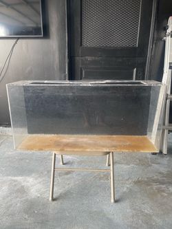 Fish tank