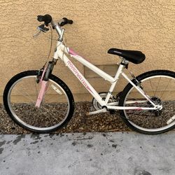 Roadmaster 20” Kids Bike – Needs Repair / Project