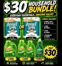 Gain household bundle