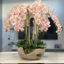 orchids flower arrangements artificially elegant big  orquídea 