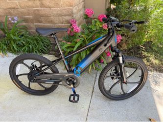 Kids Electric bike