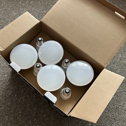 FEIT Electric LED Lights