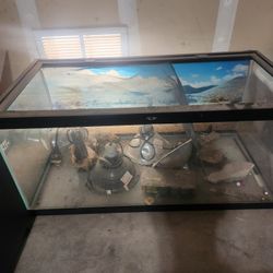 40 Gallon Breeder