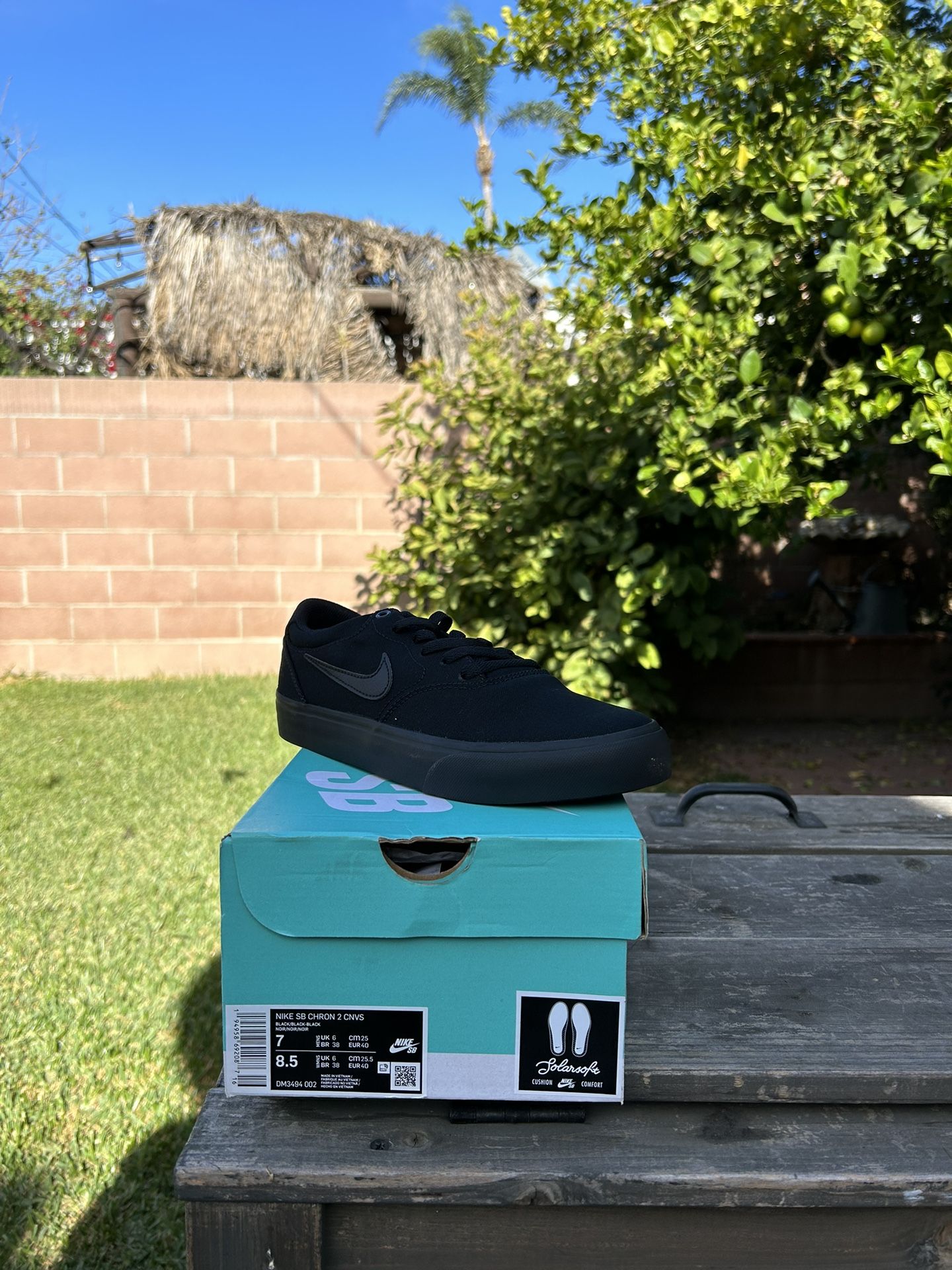 Nike SB Canvas