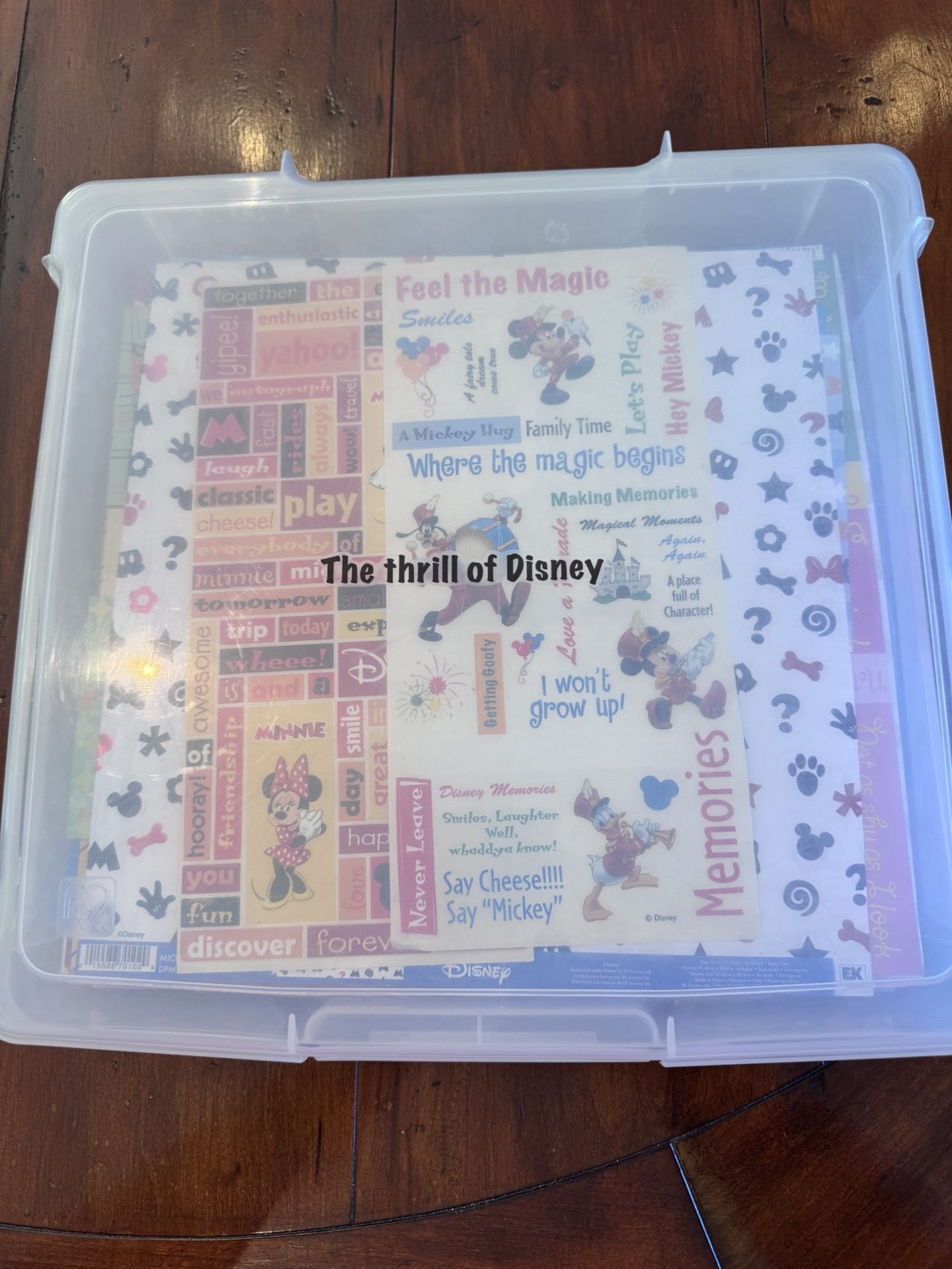 PENDING ****CLASSIC DISNEY Scrapbooking Paper And Stickers - LOTS!