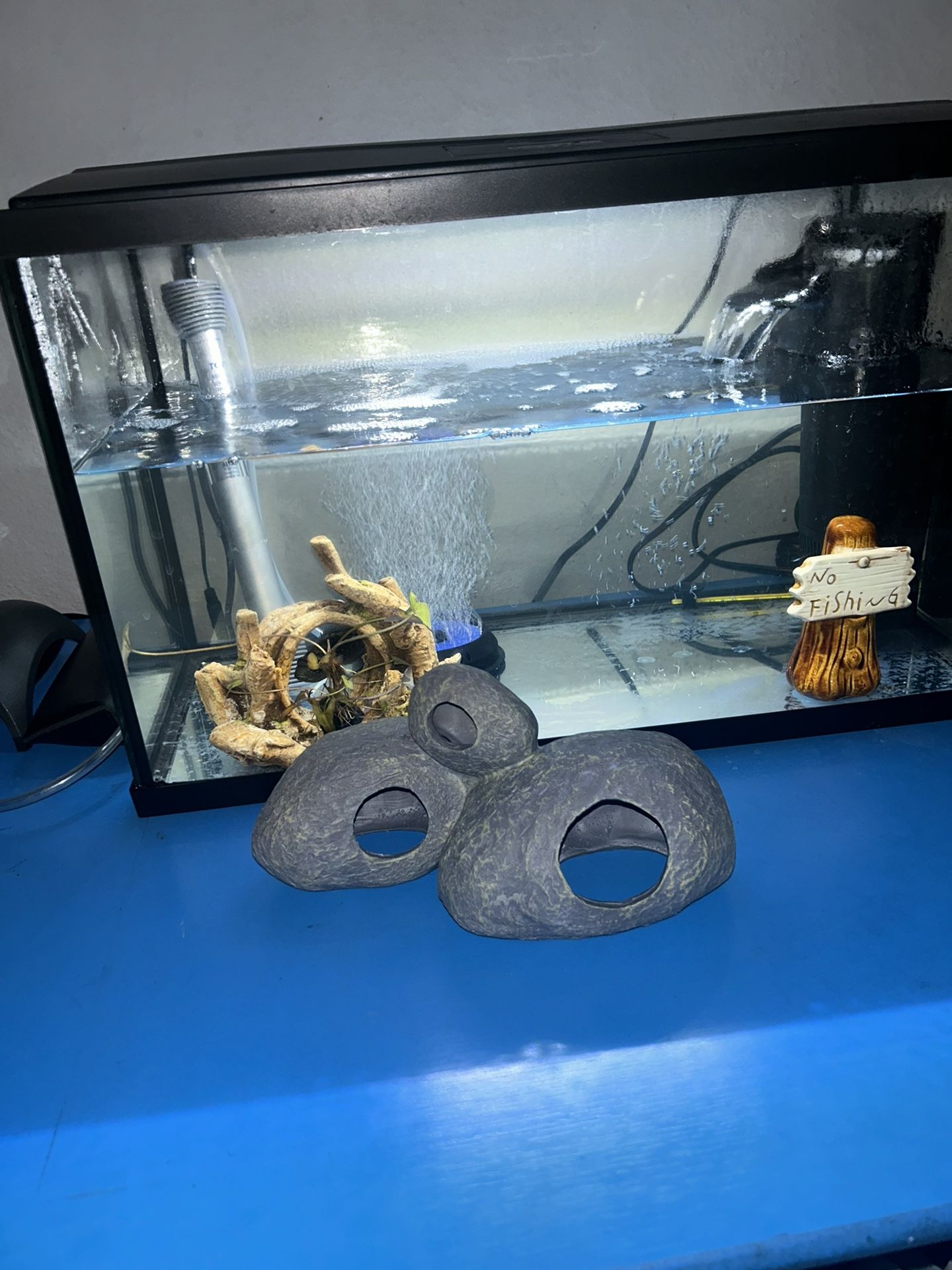 Fish Tank