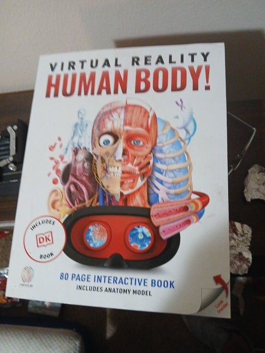 HUMAN BODY