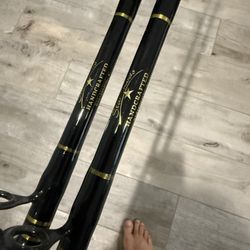 Star Fishing Rods 