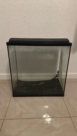 15 unique tall fish tank