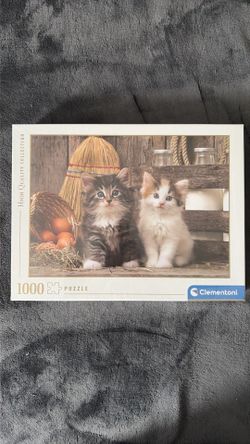 Cat puzzle
