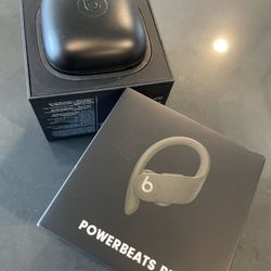Powerbeats Pro Earbuds 