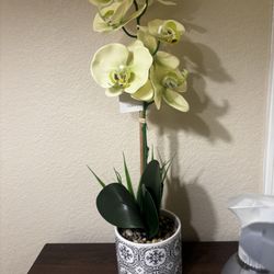 Fake plant